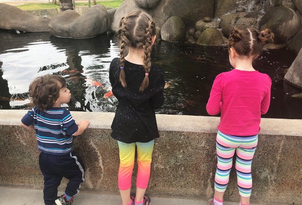 Things to Do in Phoenix with Kids: World Wildlife Zoo