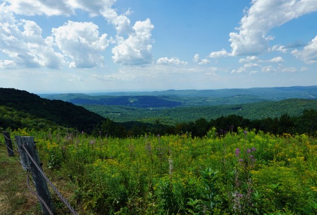 Pittsfield, Ma with kids view from Berry Pond Mountain