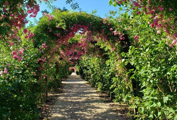 Planting Fields Arboretum offers a beautiful botanical escape