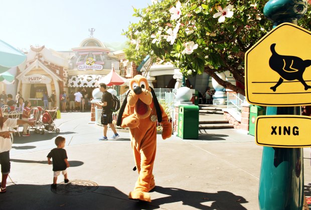 Disneyland Tips: 12 Hacks You Need To Know