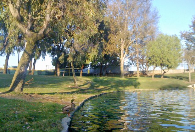 The Best Parks in LA Where Kids Can Run and Play: Polliwog Park