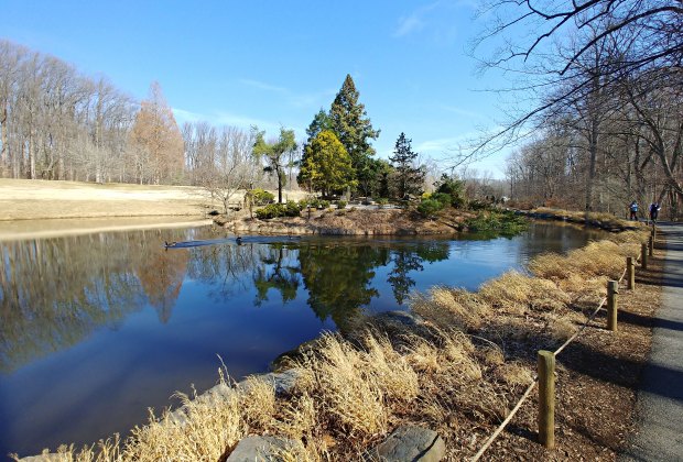 10 Reasons To Visit Brookside Gardens In Wheaton, Md. 