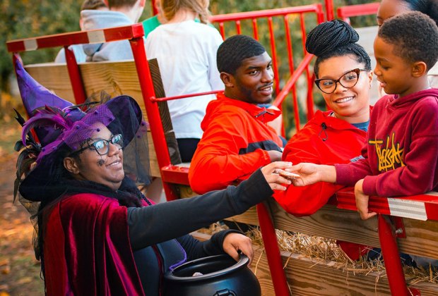 Linvilla Orchards