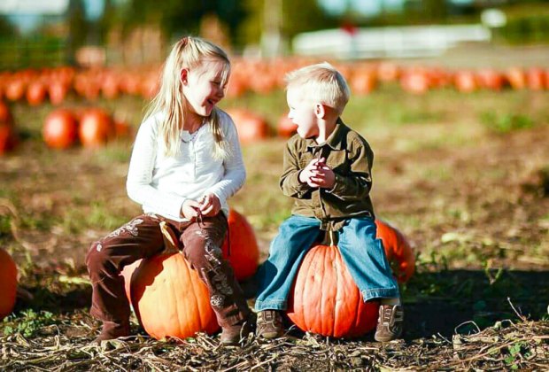 Best Pumpkin Patches Near Chicago