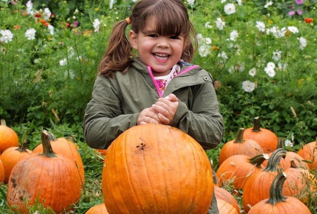Pick Your Own Pumpkin Patches in Western Connecticut