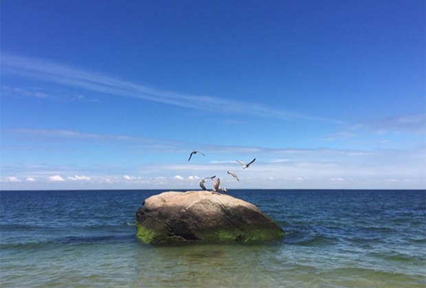 Top things to do in Riverhead with kids: Reeves Beach