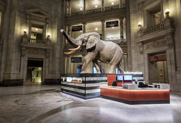 Explore Some Of The Nation S Best Smithsonian Museums In