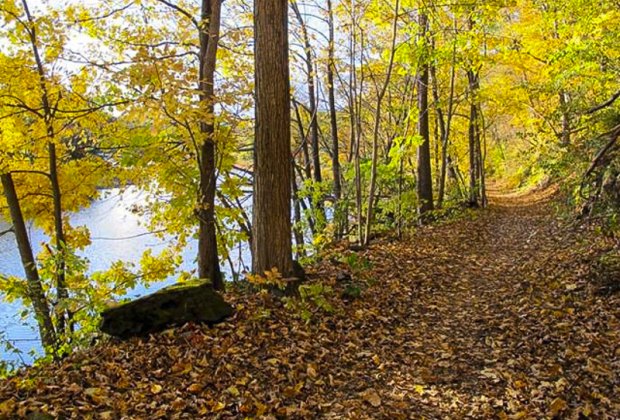 Image of Vermont hiking trail - Fall Day Trips from CT