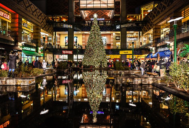 Christmas Tree And Menorah Lightings In Westchester This Holiday