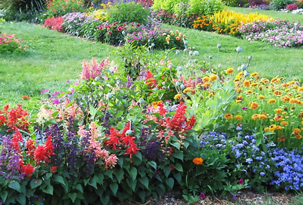 Rutgers Gardens features beautiful flooms