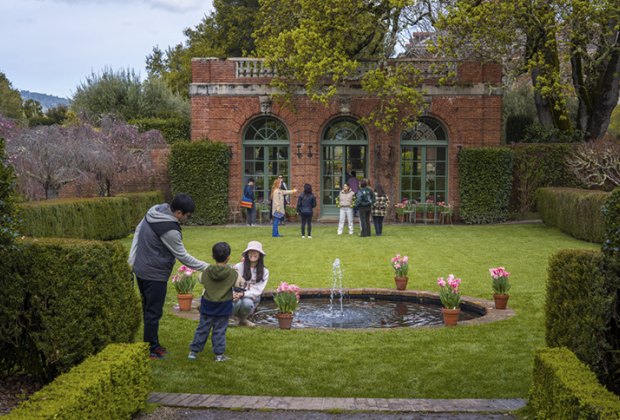 Outdoor Activities for Preschoolers in the Bay Area Filoli Gardens