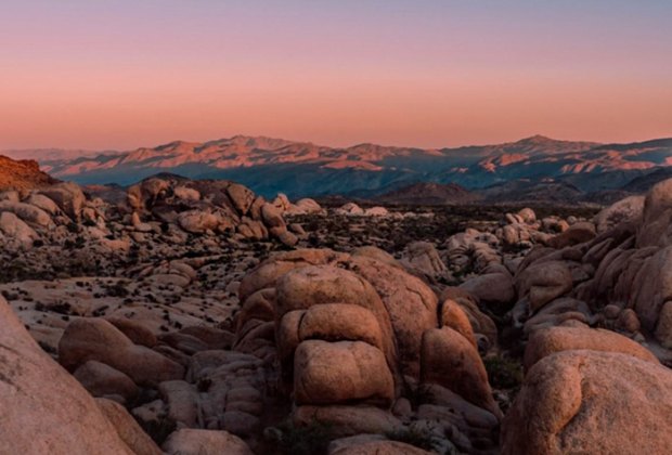 Joshua Tree Family Roadtrips National Park System