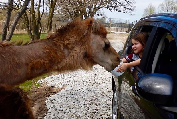 Day Trips Near Chicago For Kids This Summer Mommypoppins Things To Do In Chicago With Kids