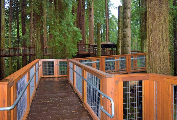 Redwood Sky Walk at Sequoia Park Zoo: Safety first