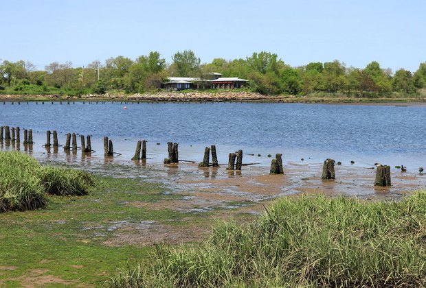 Brooklyn Salt Marsh has lovely hiking trails.