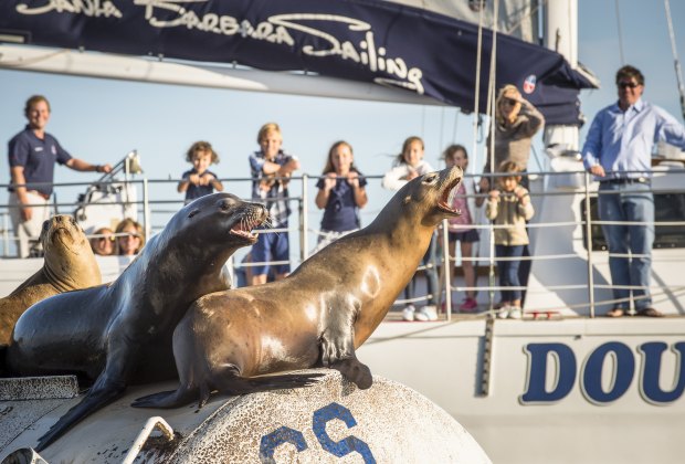 26 Things To Do in Santa Barbara with Kids Take a harbor cruise and meet the locals. Photo courtesy of Santa Barbara Sailing