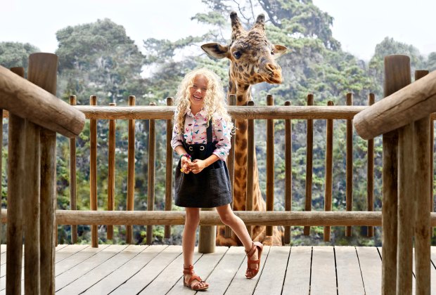 100 Things To Do in California with Kids Before They Leave The Nest Face to face with the giraffes at the Santa Barbara Zoo. Photo courtesy of Visit Santa Barbara