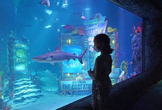 Aquariums near NYC: Sea Life Aquarium