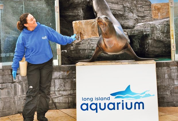 Top things to do in Riverhead with kids: Long Island Aquarium