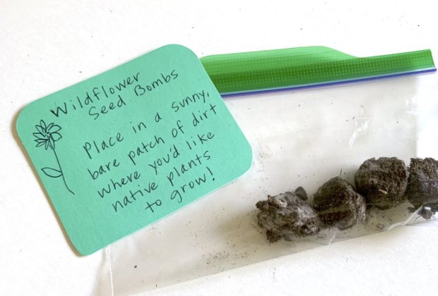 1000 Ideas for Spending 1000 Hours Outside with Kids: seed bombs
