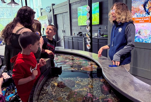 Alaska SeaLife Center: Things To Do in Seward, Alaska  with kids