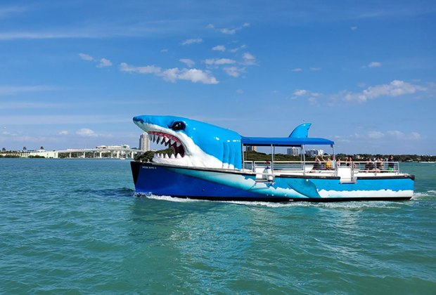 a shark tour boat takes passengers to see dolphins