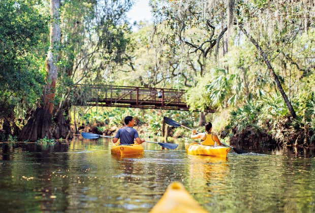 kayaking tour of Shingle Creek. 100 Things To Do in Orlando with Kids