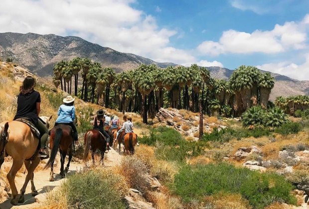 25 Top Palm Springs Resorts, Attractions , & Things To Do ...