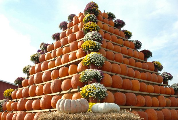 Harvest Festivals, Hayrides And Fall Fair Fun In New Jersey | Mommy ...