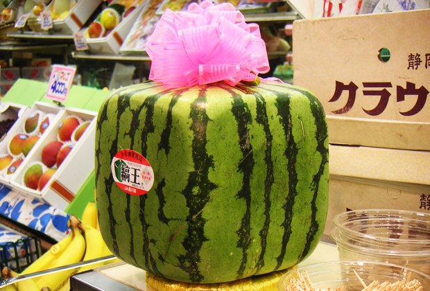 101 Fun Facts For Kids: Square watermelons exist!