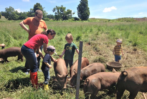 Farm stays near NYC: Stony Creek Farmstead