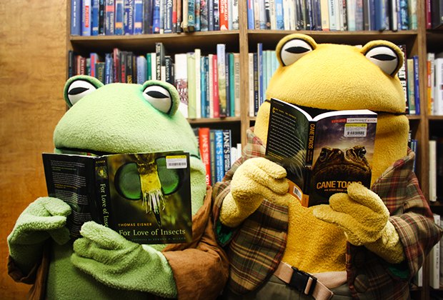 Storytimes for NYC Kids: Read Your Way Around Manhattan Frog & Toad visit the Strand's storytime.