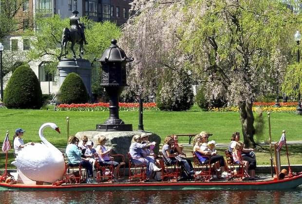 Image of the Boston Swan Boats, one of the fun things to do on Mother's Day 2024 in Boston.