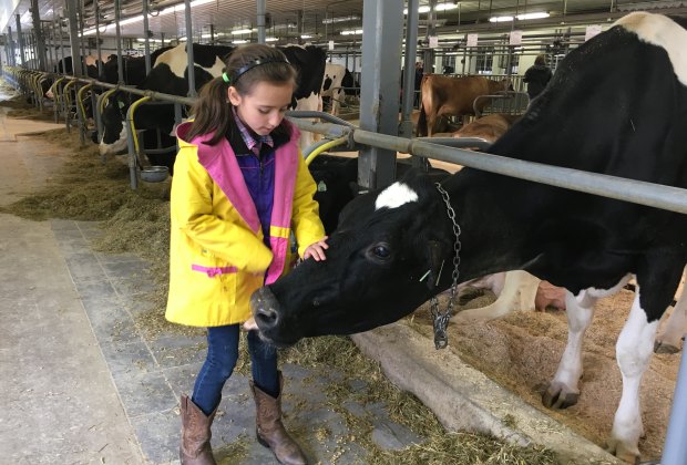 A Visit to Arethusa Farm with the Kids
