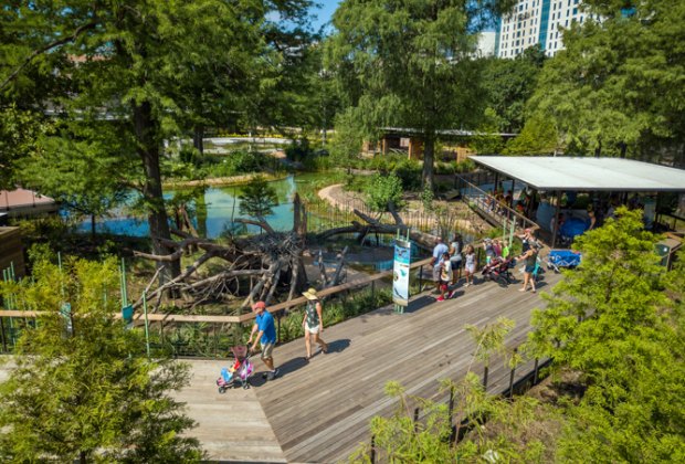 Houston Zoo Texas Wetlands