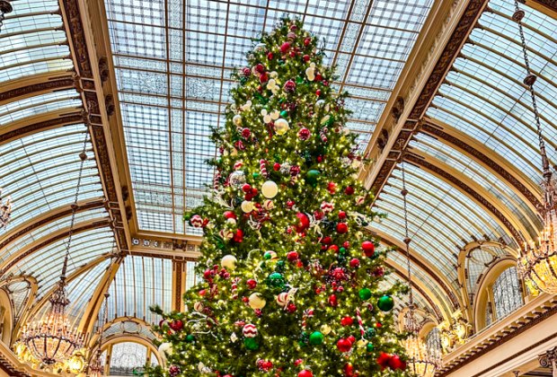 Best Holiday Lights in San Francisco: The Palace Hotel