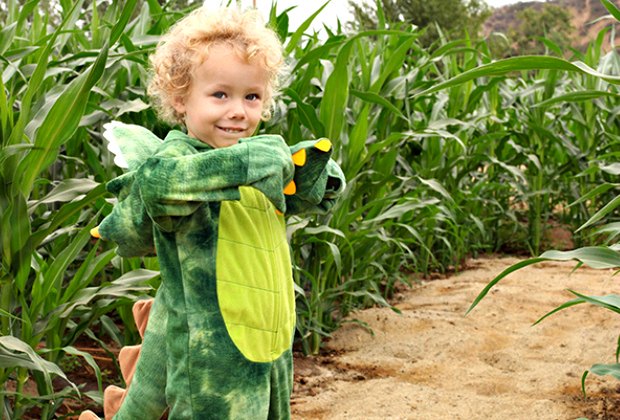 Corn Mazes And Haunted Mazes Closest To La And Orange County