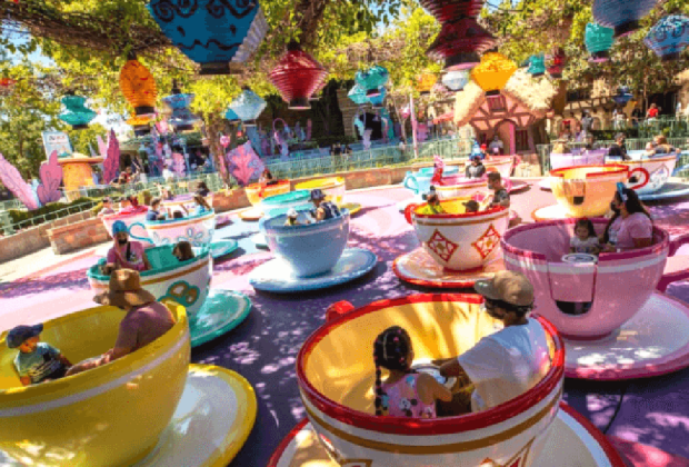 Disneyland: Best Theme Parks in the US for Special Needs Kids