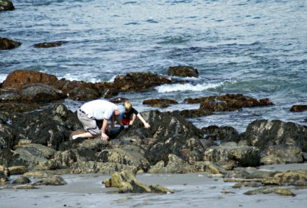25 Things To Do During An Old Orchard Beach Maine Summer Family Tide Pooling For Sealife Along Southern Maine S Rocky Coast