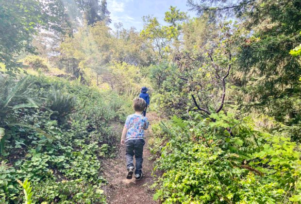 Hikes in San Francisco: Tilden Regional Park