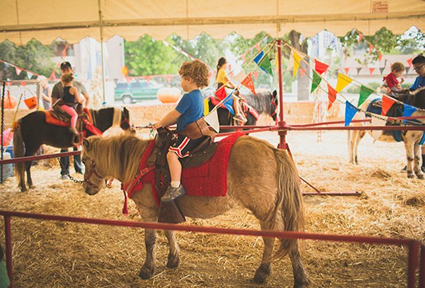 Promenade en poney chez Tina's Pumpkin Patch's Pumpkin Patch