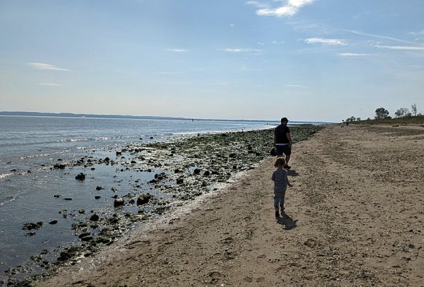 Wolfe's Pond Park Beach is a toddler-friendly beach in NYC