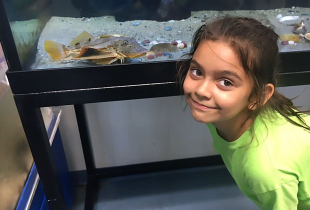 Aquariums near NYC: Marine Education Center