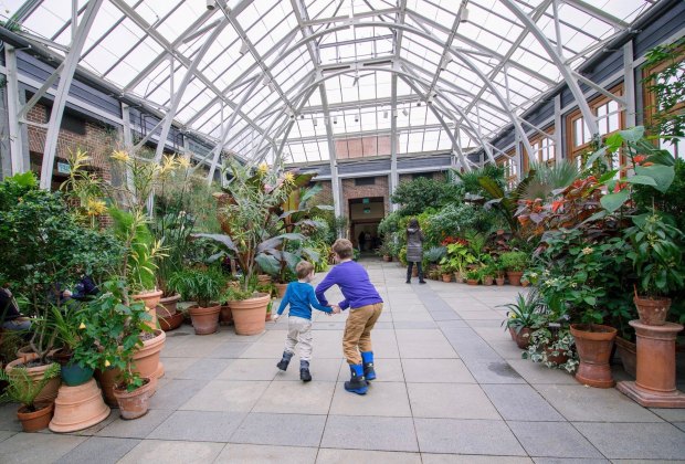 Indoor botanical gardens