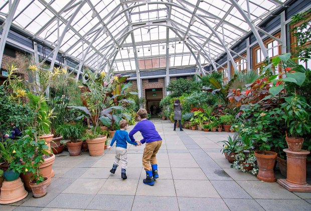 Indoor Gardens Where Boston Kids And Families Can Escape Winter