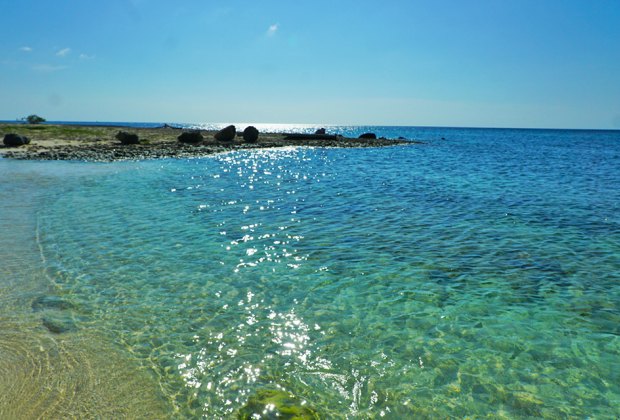  Embassy Suites Aruba by Hilton: beach