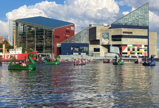 Travel Baltimore Chessie Dragon Paddle Boats and Electric Pirate Ships