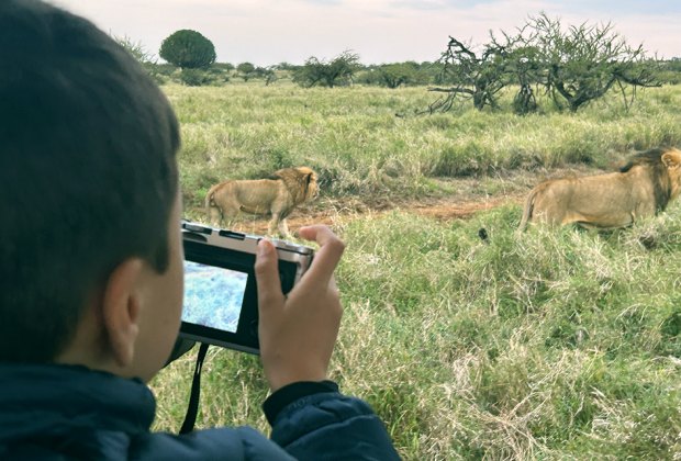 Planning a Perfect Family African Safari Vacation: taking pictures of lions on safari