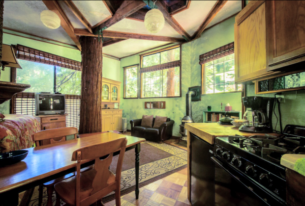 California Vacation Home Rentals for Families: A tree is growing in the middle of the house!