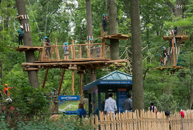 Vue du Parcours d'aventure dans les cimes des arbres du Zoo du Bronx's Treetop Adventure Course